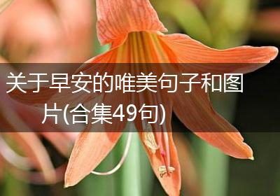 关于早安的唯美句子和图片(合集49句)