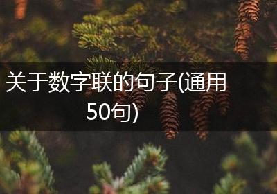关于数字联的句子(通用50句)