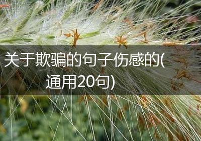 关于欺骗的句子伤感的(通用20句)