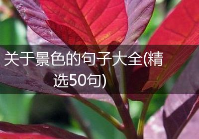 关于景色的句子大全(精选50句)