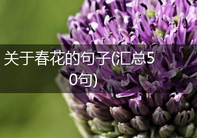 关于春花的句子(汇总50句)