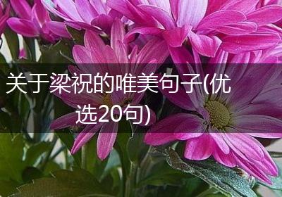 关于梁祝的唯美句子(优选20句)