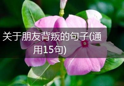 关于朋友背叛的句子(通用15句)