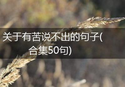 关于有苦说不出的句子(合集50句)