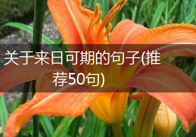 关于来日可期的句子(推荐50句)
