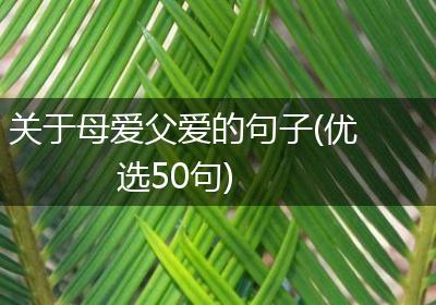关于母爱父爱的句子(优选50句)