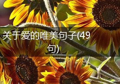 关于爱的唯美句子(49句)