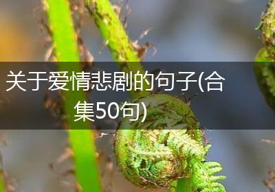 关于爱情悲剧的句子(合集50句)