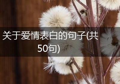关于爱情表白的句子(共50句)