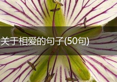 关于相爱的句子(50句)