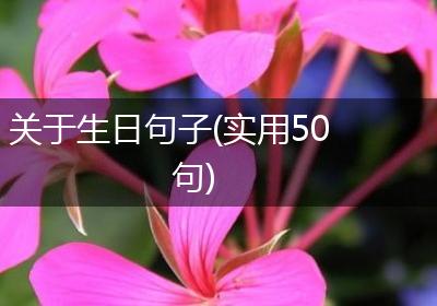 关于生日句子(实用50句)