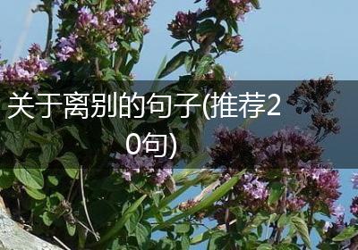 关于离别的句子(推荐20句)