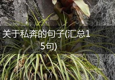 关于私奔的句子(汇总15句)