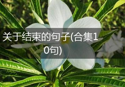 关于结束的句子(合集10句)