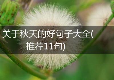 关于秋天的好句子大全(推荐11句)