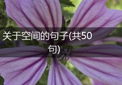 关于空间的句子(共50句)