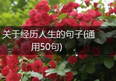 关于经历人生的句子(通用50句)