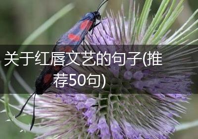 关于红唇文艺的句子(推荐50句)