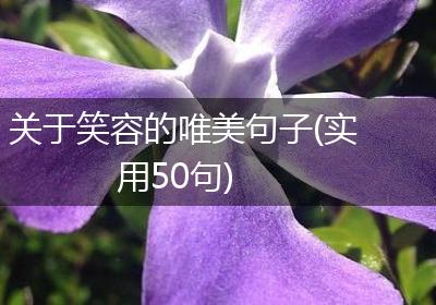 关于笑容的唯美句子(实用50句)