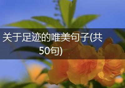关于足迹的唯美句子(共50句)