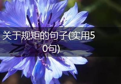关于规矩的句子(实用50句)
