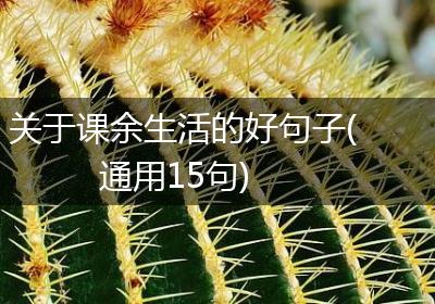 关于课余生活的好句子(通用15句)