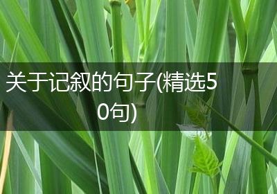 关于记叙的句子(精选50句)
