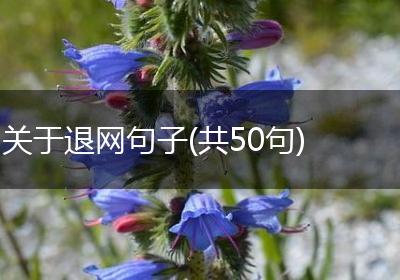 关于退网句子(共50句)