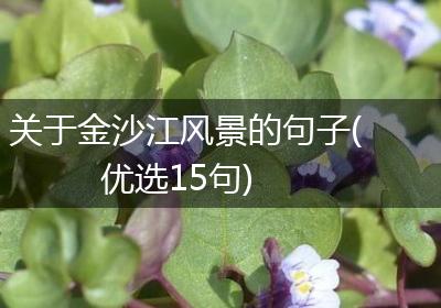 关于金沙江风景的句子(优选15句)