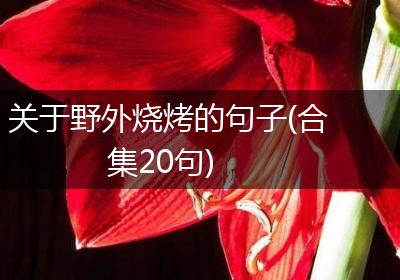关于野外烧烤的句子(合集20句)
