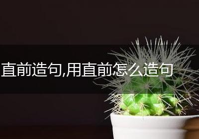 直前造句,用直前怎么造句