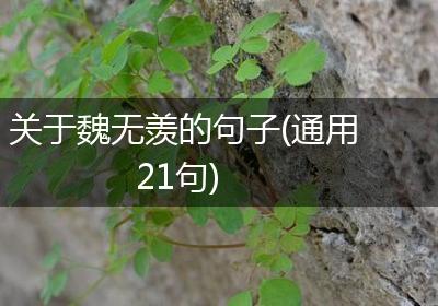关于魏无羡的句子(通用21句)