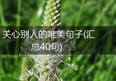 关心别人的唯美句子(汇总40句)