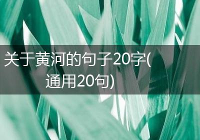 关于黄河的句子20字(通用20句)