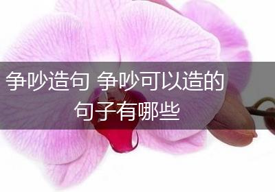 争吵造句 争吵可以造的句子有哪些