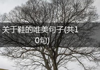 关于鞋的唯美句子(共10句)