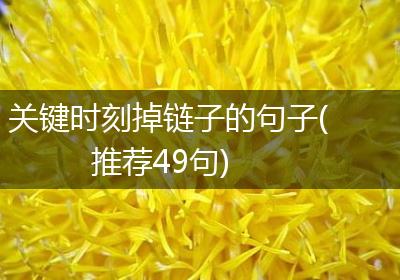 关键时刻掉链子的句子(推荐49句)