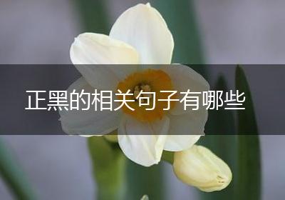 正黑的相关句子有哪些
