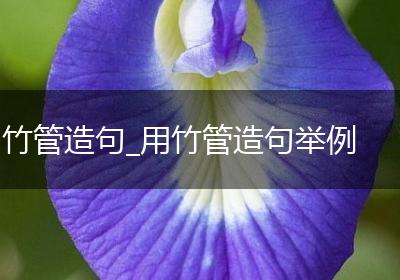 竹管造句_用竹管造句举例