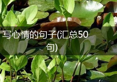 写心情的句子(汇总50句)