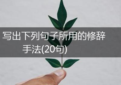 写出下列句子所用的修辞手法(20句)