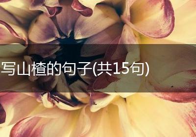 写山楂的句子(共15句)