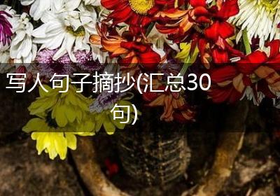 写人句子摘抄(汇总30句)