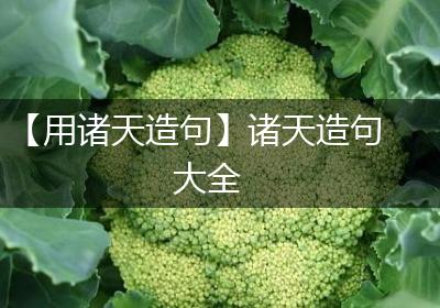 【用诸天造句】诸天造句大全