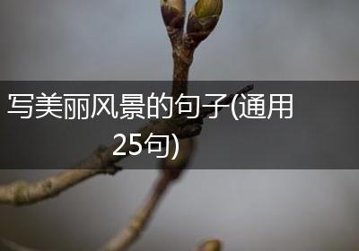 写美丽风景的句子(通用25句)