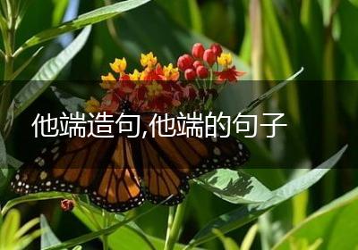 他端造句,他端的句子
