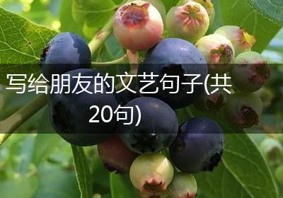 写给朋友的文艺句子(共20句)