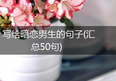 写给暗恋男生的句子(汇总50句)