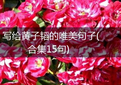 写给黄子韬的唯美句子(合集15句)