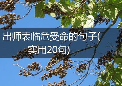出师表临危受命的句子(实用20句)
